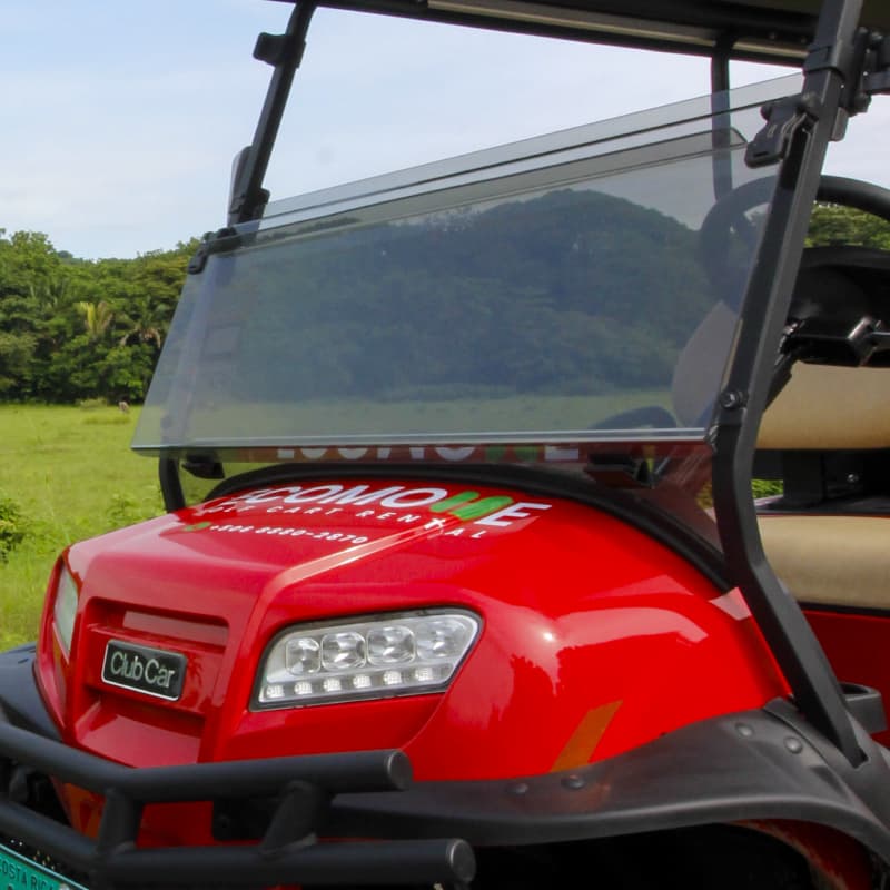 Lithium Powered Golf Carts
