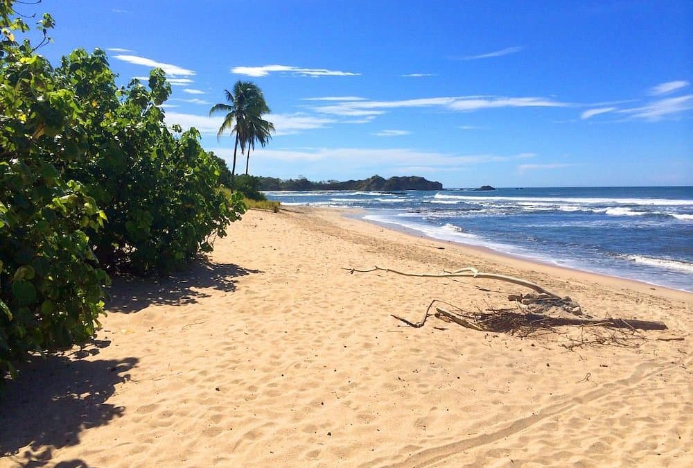 FAQs: Everything You Need to Know Before Driving in Nosara