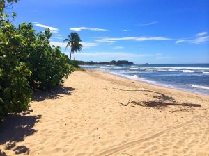 FAQs: Everything You Need to Know Before Driving in Nosara