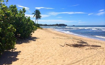 FAQs: Everything You Need to Know Before Driving in Nosara