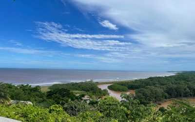 Eco-Friendly Travel in Nosara: Sustainable Stays and Green Adventures