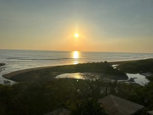 Nestled on the Pacific coast of Costa Rica, Nosara has quickly become one of the most sought-after surf destinations in the world. With its consistent waves, warm water, and laid-back atmosphere, this tropical paradise is the perfect place for beginners to learn the art of surfing. Whether you’ve never touched a surfboard before or you’re eager to refine your skills, Nosara offers the ideal environment to get started.