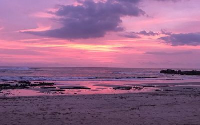 Digital Nomad’s Guide to Nosara Beach