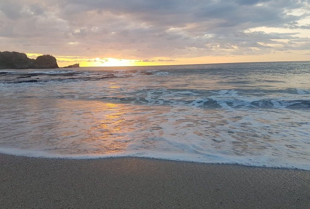 Why Nosara Leads Wellness Travel in Costa Rica