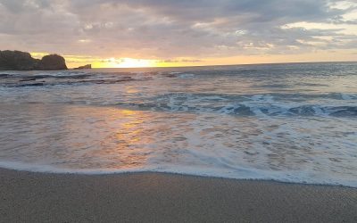 Why Nosara Leads Wellness Travel in Costa Rica