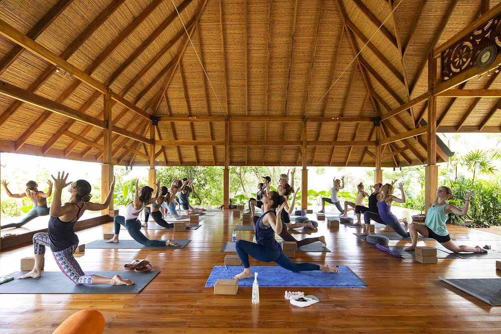Mindfulness by the Ocean: Transformative Meditation Practices in Nosara