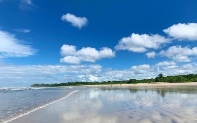 Mindfulness by the Ocean: Transformative Meditation Practices in Nosara