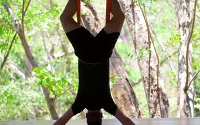 The Best Yoga Retreats in Nosara Beach for Wellness
