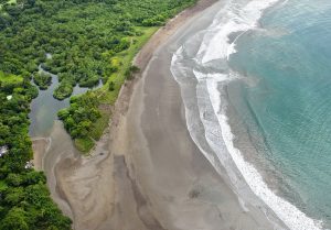 Tucked away on Costa Rica’s Nicoya Peninsula, Nosara is more than just a laid-back surf town — it’s a sanctuary for those who crave a deep connection with nature. Here, the ocean’s rhythm harmonizes with the call of howler monkeys and tropical birds, while the lush forests invite you to slow down and explore. For travelers seeking eco-adventures, wildlife encounters, and scenic hiking trails, Nosara offers an unforgettable experience that captures the essence of Costa Rica’s biodiversity and sustainable spirit.