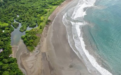 Nosara for Nature Lovers: Discover the Best Hiking Trails and Eco-Parks in Costa Rica’s Hidden Paradise