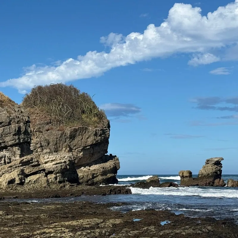 Best Time to Visit Playa Guiones