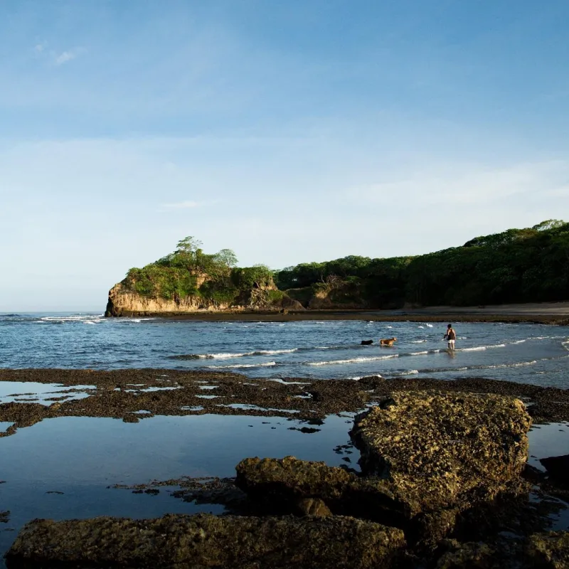 Dark Sand and a Wild Pacific Coastline