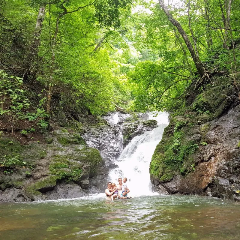 Discover the Natural Beauty of Playa Nosara