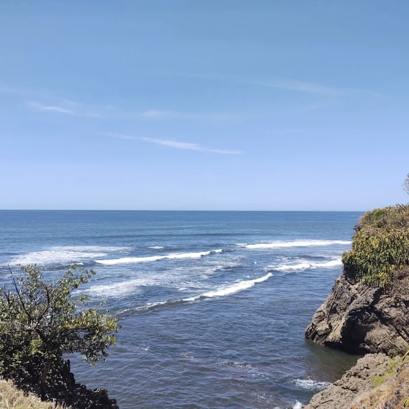Explore Playa Pelada and Nosara