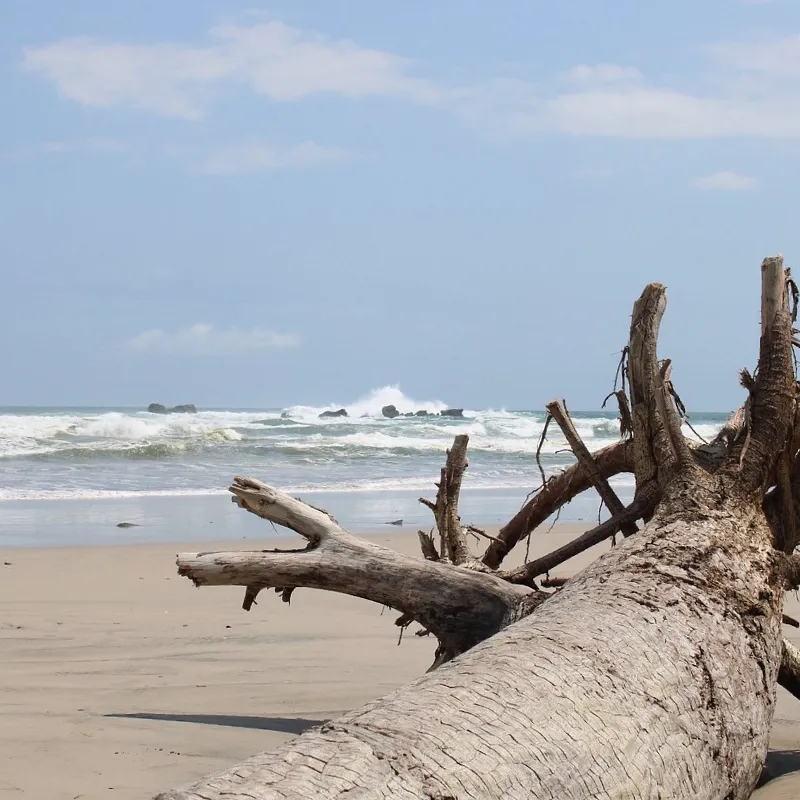 Playa Guiones