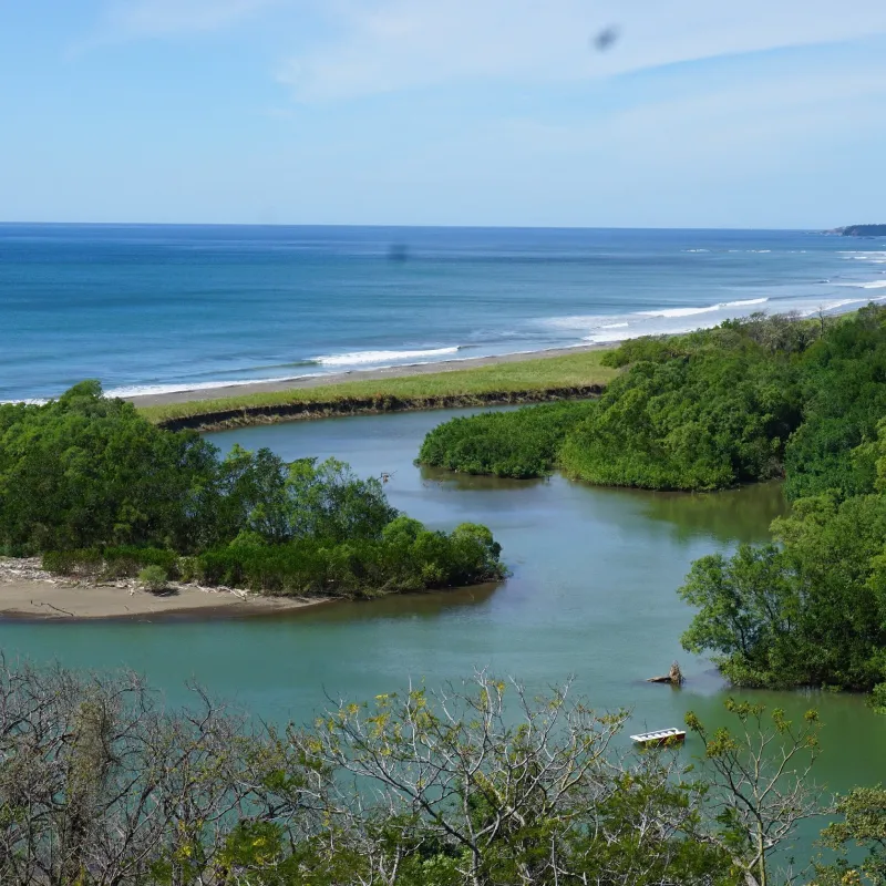 Playa Nosara for Nature Lovers
